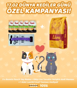 Dünya Kedi Günü Özel Kampanyası