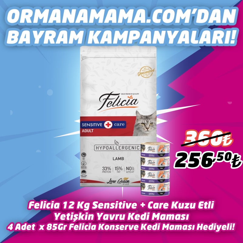 Felicia 12 Kg Kedi Maması