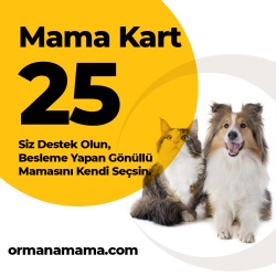 Mama Hediye Kartı 25