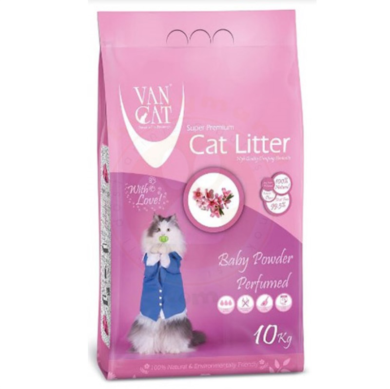 cats white kedi kumu