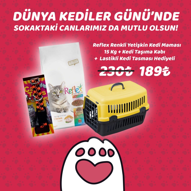 Dünya Kedi Günü Özel Kampanyası 2