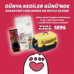 Dünya Kedi Günü Özel Kampanyası 2