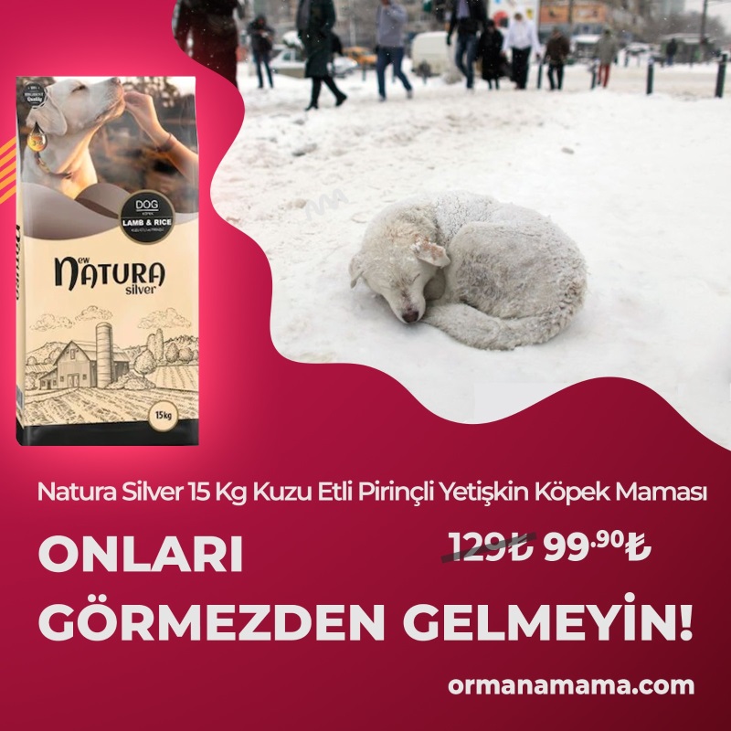 Natura Silver Kuzu Etli Pirinçli 15 Kg Yetişkin Köpek Maması