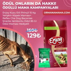 Enjoy Kuzu Etli Pirinçli 15 Kg Yetişkin Köpek Maması+ Reflex Che Dog Baconies Snacks Jambonlu Ödül 85 Gr  Ödül Maması Hediyeli!