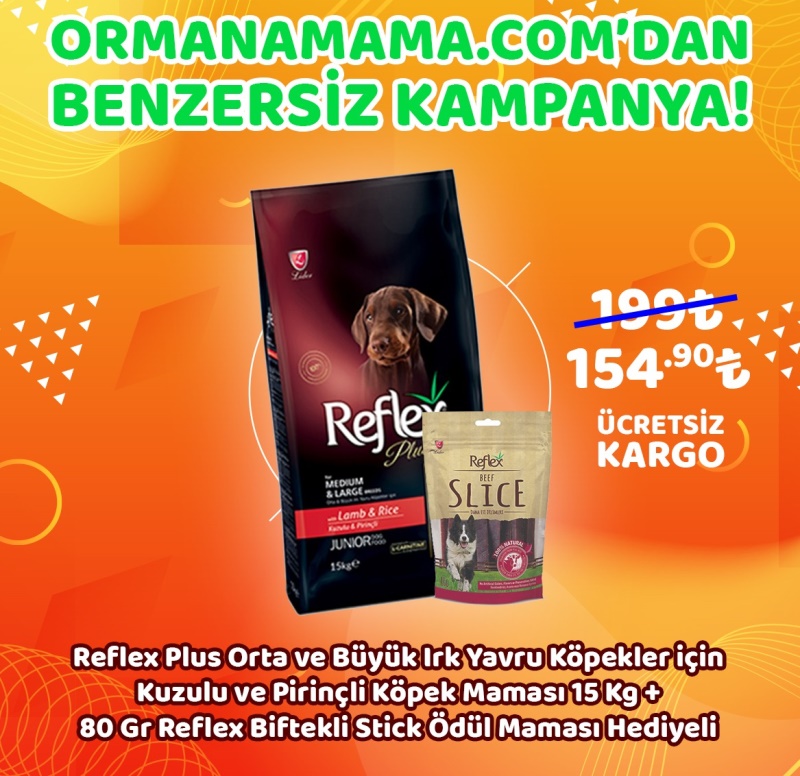 Reflex Plus Orta ve Büyük Irk Yavru Köpekler için Kuzulu ve Pirinçli