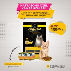 Petzi Cat 15 Kg Tavuklu Yetişkin Kedi Maması + 3 Adet x 100 Gr Plaiser Konserve Mama Hediyeli!