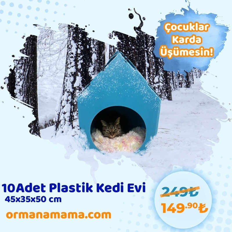 10 Adet Plastik Kedi Evi