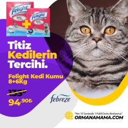 Felight Bentonit Gümüş-İyon Kedi Kumu 8+6Kg