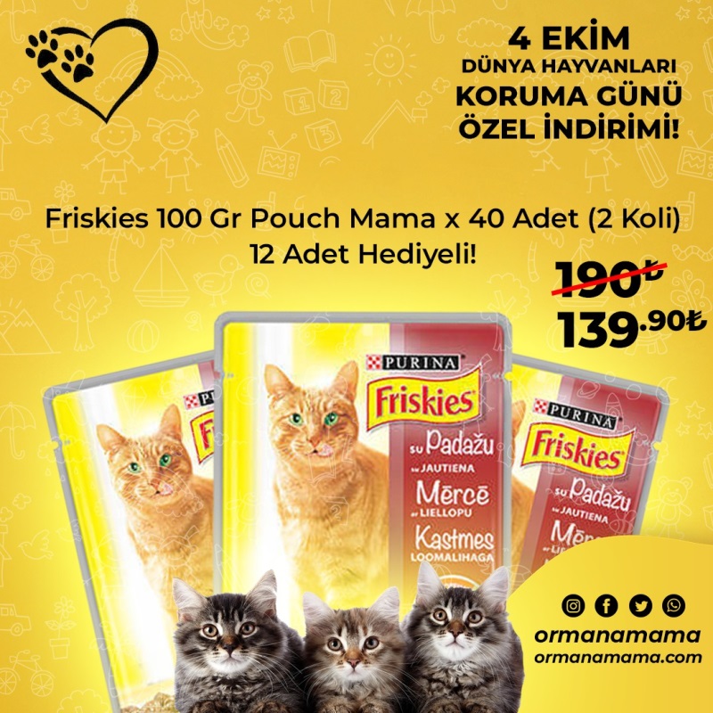 Friskies Pouch 100 Gr x 40 Adet (2 Koli) + 12 Adet Hediyeli