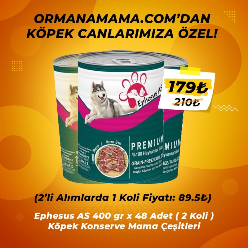 Ephesus As Köpek Konservesi Çeşitleri 415 gr x 48 Adet (Avantaj Paketi)
